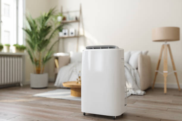 Best HVAC air duct cleaning  in Palmetto, FL